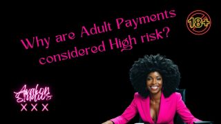 Why is the Adult Industry Considered High-Risk for payment processors?